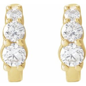 14K Yellow Gold 1/3 CTW Natural Diamond Hoop Earrings