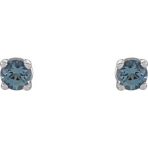 14K White Gold 2.5 mm Natural Aquamarine Earrings